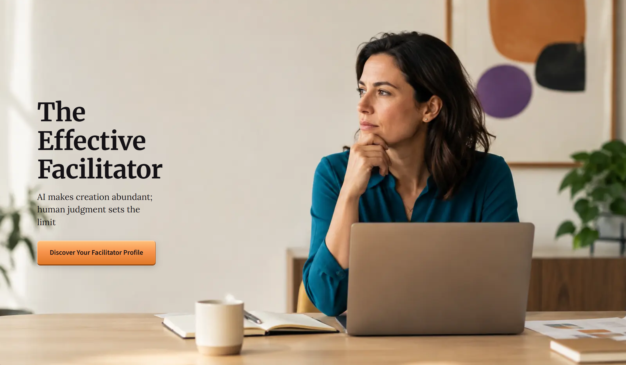 The Effective Facilitator cover